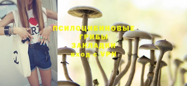 ПСИЛОЦИБИНОВЫЕ ГРИБЫ Арсеньев
