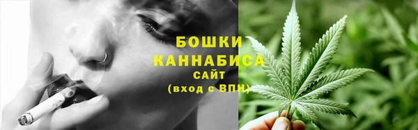 ПСИЛОЦИБИНОВЫЕ ГРИБЫ Арсеньев