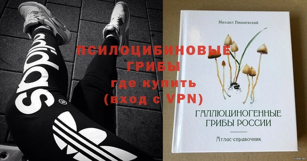 ПСИЛОЦИБИНОВЫЕ ГРИБЫ Арсеньев