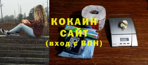 ПСИЛОЦИБИНОВЫЕ ГРИБЫ Арсеньев