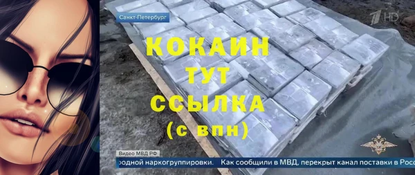 ПСИЛОЦИБИНОВЫЕ ГРИБЫ Арсеньев