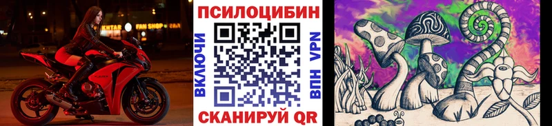 Галлюциногенные грибы прущие грибы Западная Двина